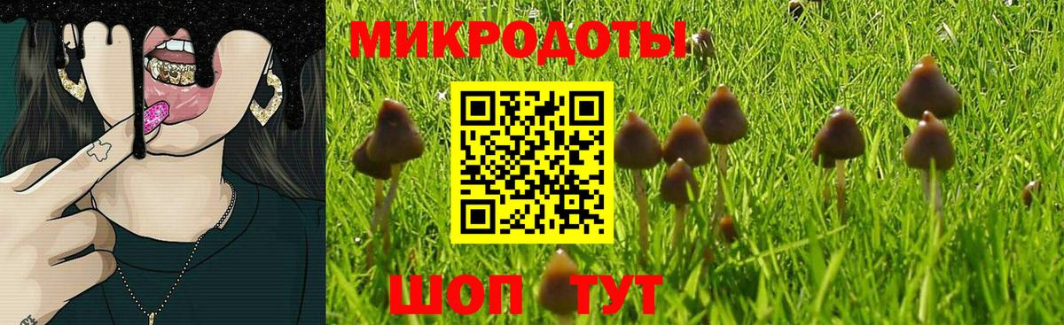 Галлюциногенные грибы Magic Shrooms  цена   Серпухов  Псилоцибиновые грибы мухоморы  Вход с VPN 